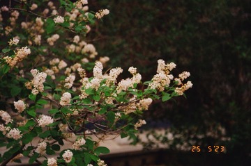 BA9397D0-447D-45BB-BD51-87806DA69ACD/L0/001