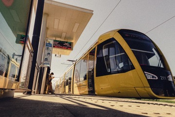 3602484
