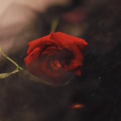 535E4ABE-ADD4-4801-AE9E-8B0E1F0F209C/L0/001