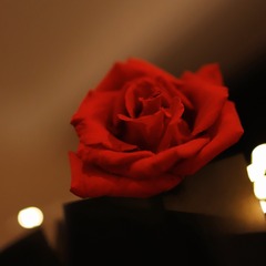 029E7367-E9B6-49AB-8A1A-B1926FC390FF/L0/001