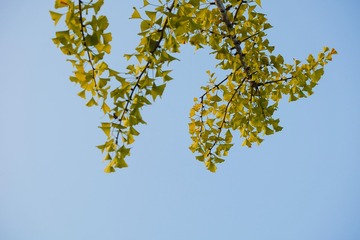 25778346-9F9A-4C42-9C9C-C7FB5F008C56/L0/001