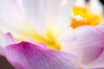 C753FD1A-5E00-4141-92EE-F31D42388632/L0/001