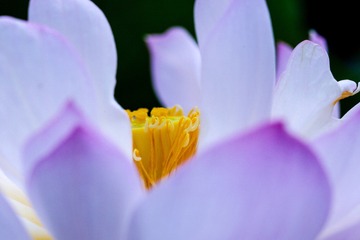 29746126-2C36-4D00-B286-07EAD612BE0A/L0/001