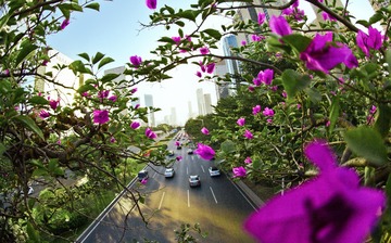 IMG_1807_1