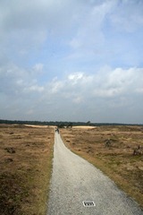 ON THE ROAD