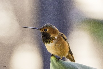 20171222-2R3A1440