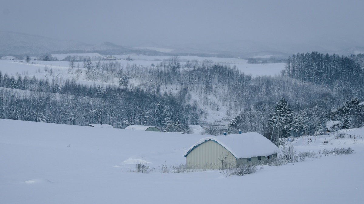 为之颤抖摄雪国岛村皑皑白雪白雪覆盖的老村庄图片雪国里的皑皑白雪