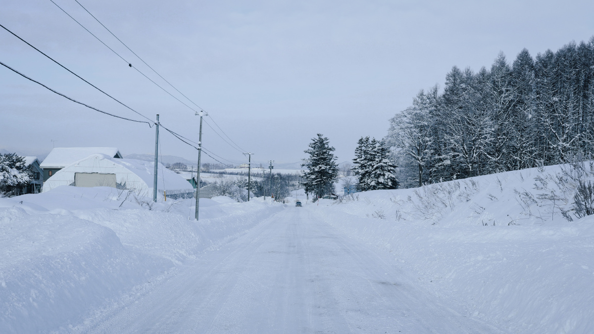 的雪国那种无法形容的美使岛村的心都几乎为之颤抖摄雪国岛村皑皑白雪