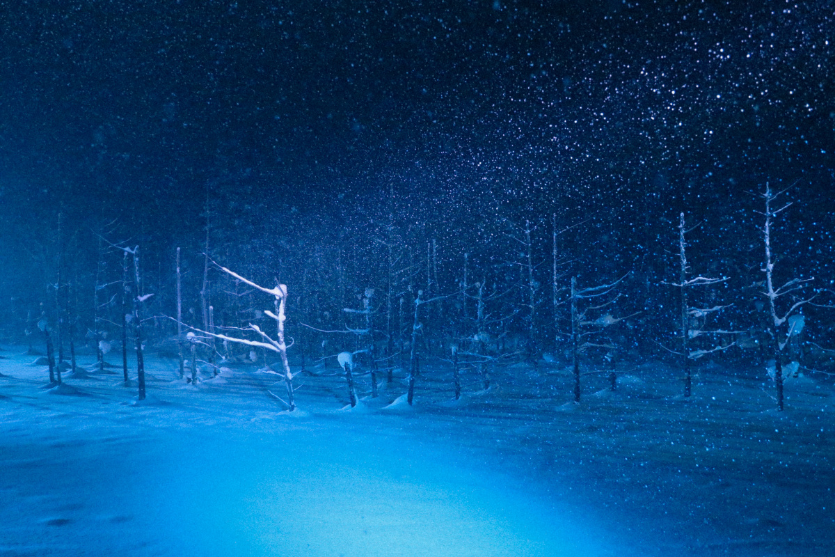 风雪黑夜路灯和孤寂北海道