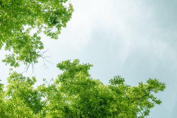 6558AF68-15E1-465A-B35D-C87B69C57347/L0/001