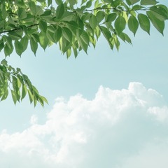 6034F67A-27B3-482B-B4BC-F36A8FDFB3A6/L0/001