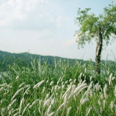 5E2DD3F3-B22E-4176-B32E-96160BADC429/L0/001
