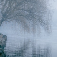 4E6C708A-AEBD-41F8-A642-ED4D01679F60/L0/001