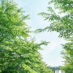 EBCE4917-520B-47F9-A451-C15B559C2392/L0/001