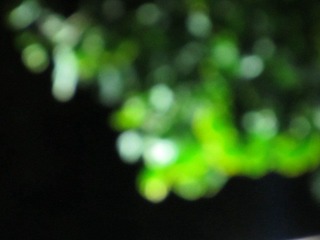 B82330F5-BB4C-4E7D-8E56-6076F13C52FA/L0/001