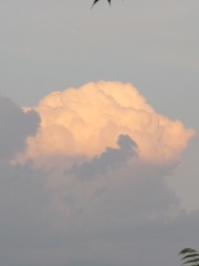 5E6916CC-CEC2-4AB1-B228-A23EBC5365A9/L0/001