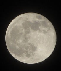 9B3E4640-0CB5-4774-8590-8624706F5E37/L0/001