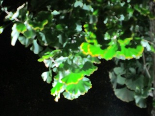 84329CC3-3D14-4050-AA00-F1FD202A683F/L0/001
