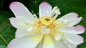 001