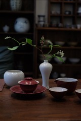 DSCF4220