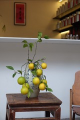 DSCF4684