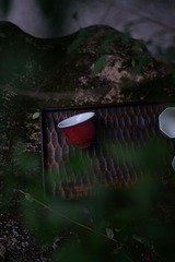 DSCF7882