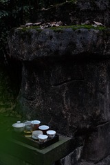 DSCF7863