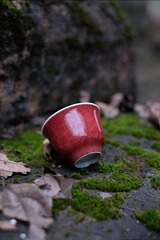 DSCF7852