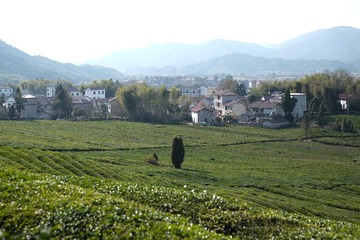 DSCF7637