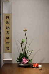 DSCF4208
