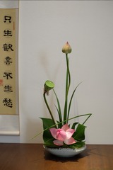 DSCF4201