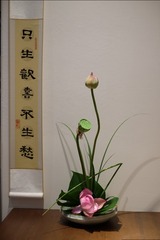 DSCF4207