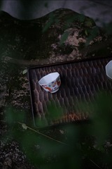 DSCF7881