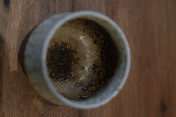 DSCF4167
