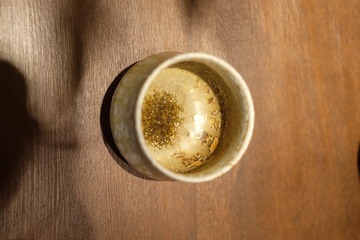 DSCF4168