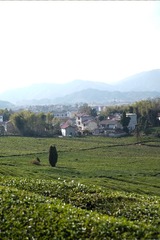 DSCF7638