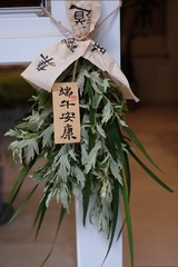 DSCF4155