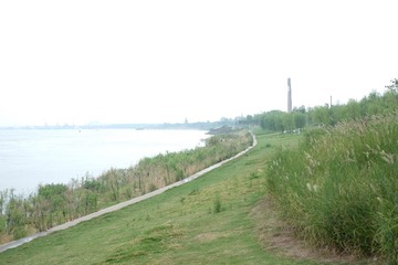 DSCF4344