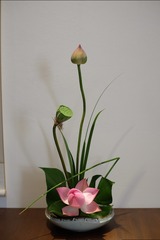 DSCF4203