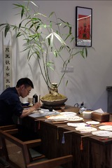DSCF3970