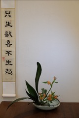 DSCF4041