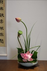 DSCF4200