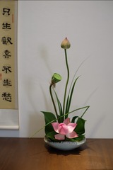 DSCF4202