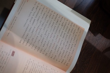 DSCF4099
