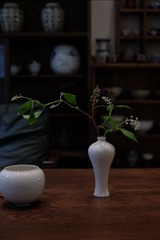 DSCF4216
