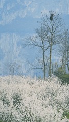 E7890D81-1C65-49B7-8900-E74EF3693674/L0/001