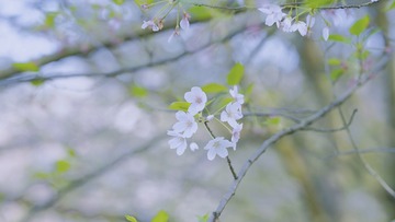 D452639A-0B28-4572-A50C-B11C12E5F9D9/L0/001