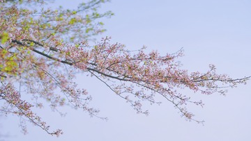 E4177AE6-705F-4D02-935C-05684CE51356/L0/001