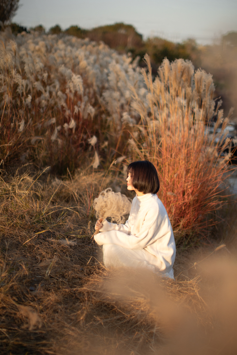 芦苇微微,微凉.