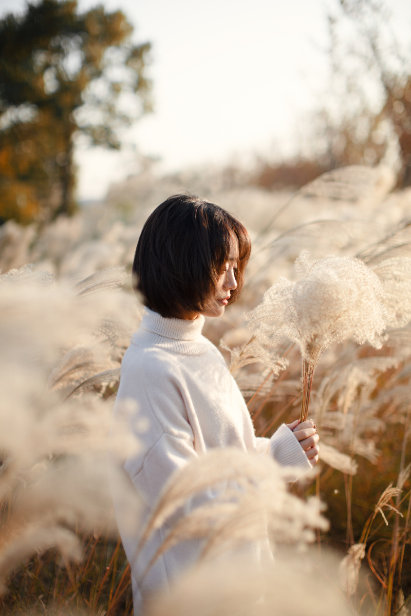 芦苇微微,微凉.